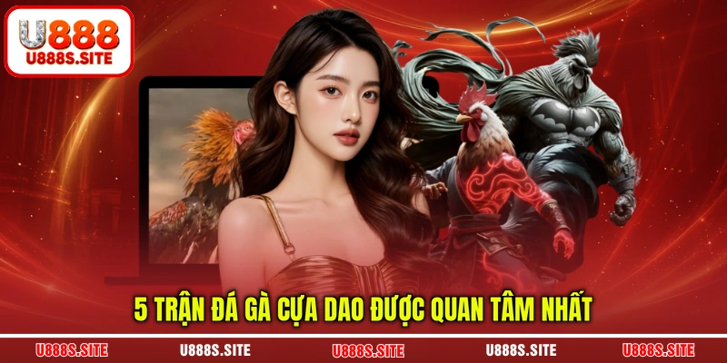 5 trận đá cựa dao được quan tâm nhất 5 trận đá cựa dao được quan tâm nhất