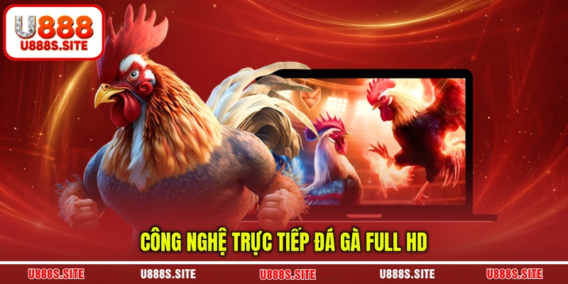 Công nghệ trực tiếp đá gà full HD Công nghệ trực tiếp đá gà full HD