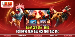 đá gà cựa dao