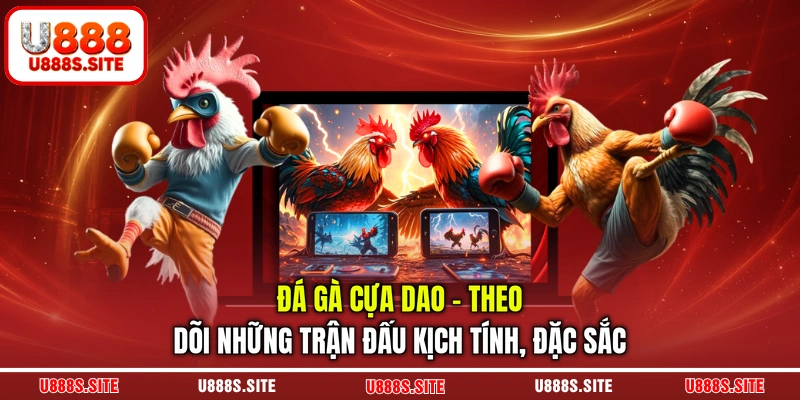 đá gà cựa dao